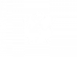 NCblade logo small transparent white PNG
