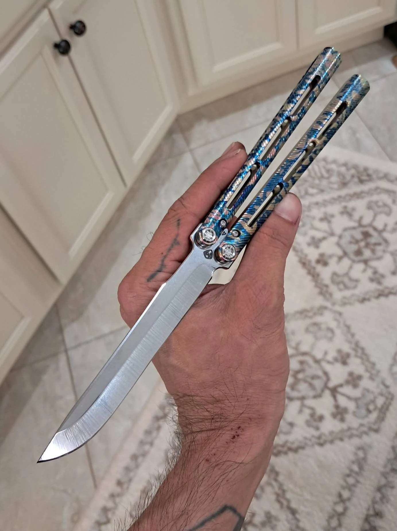 Custom Modded Viceroy Customer Picture JJ C