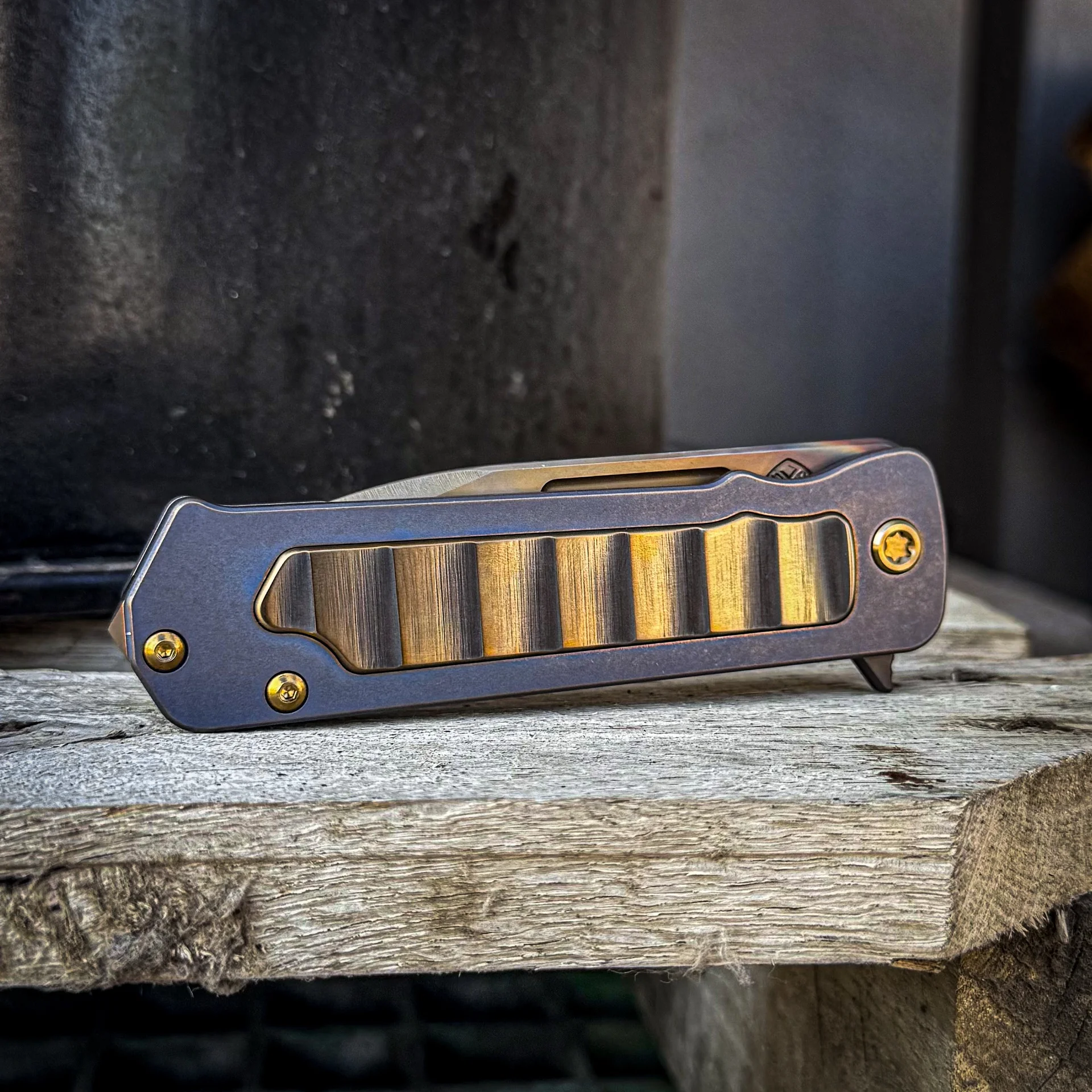 Blue with Bronze Armadillo Vulcan TFF-4 photo 2